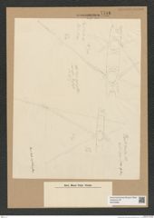 Diatomeae indet. Zeichnungen Sammlung Grunow Nr. 7746 (NHMW-BOT-W0376968)